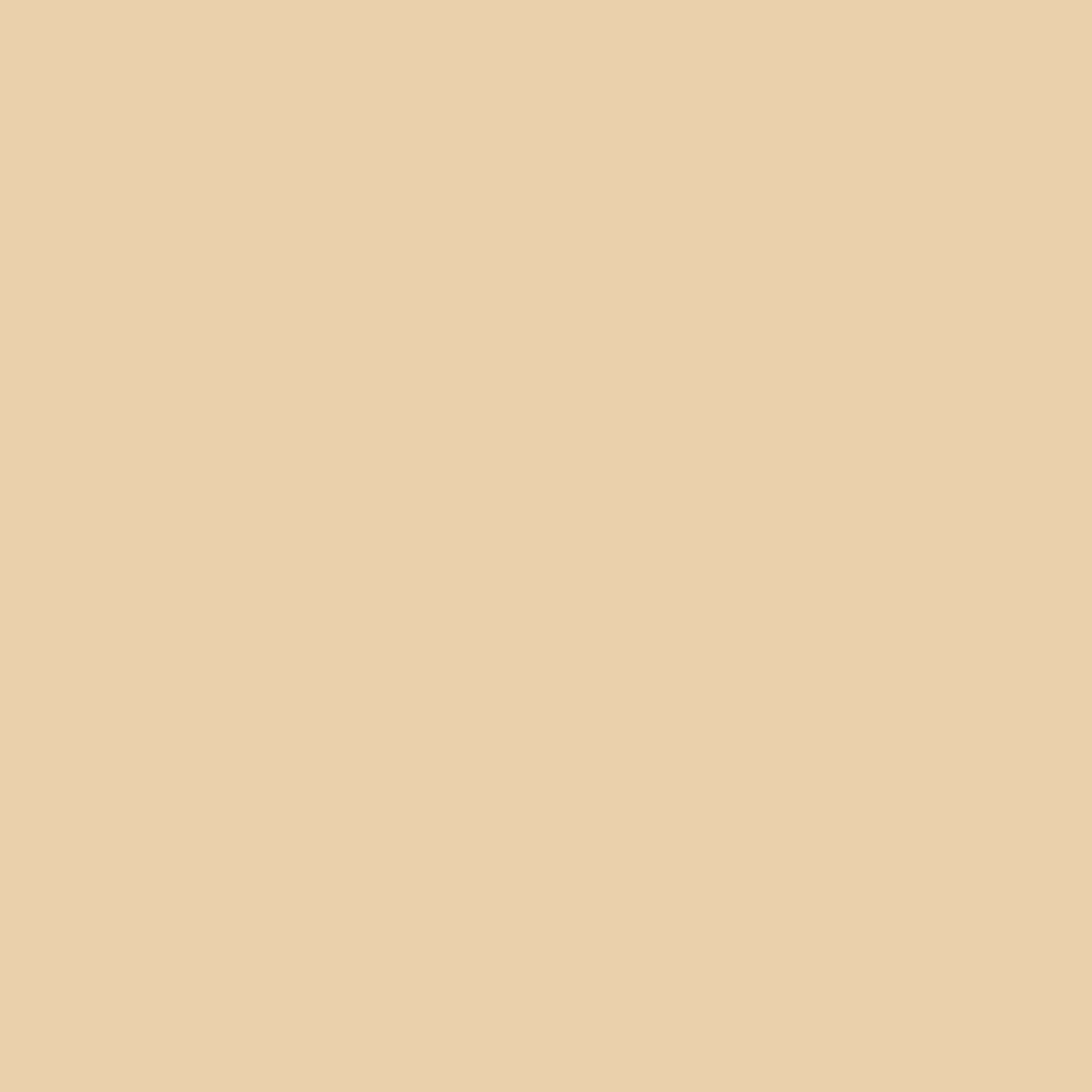 Confetti Cotton Solid - Eggnog