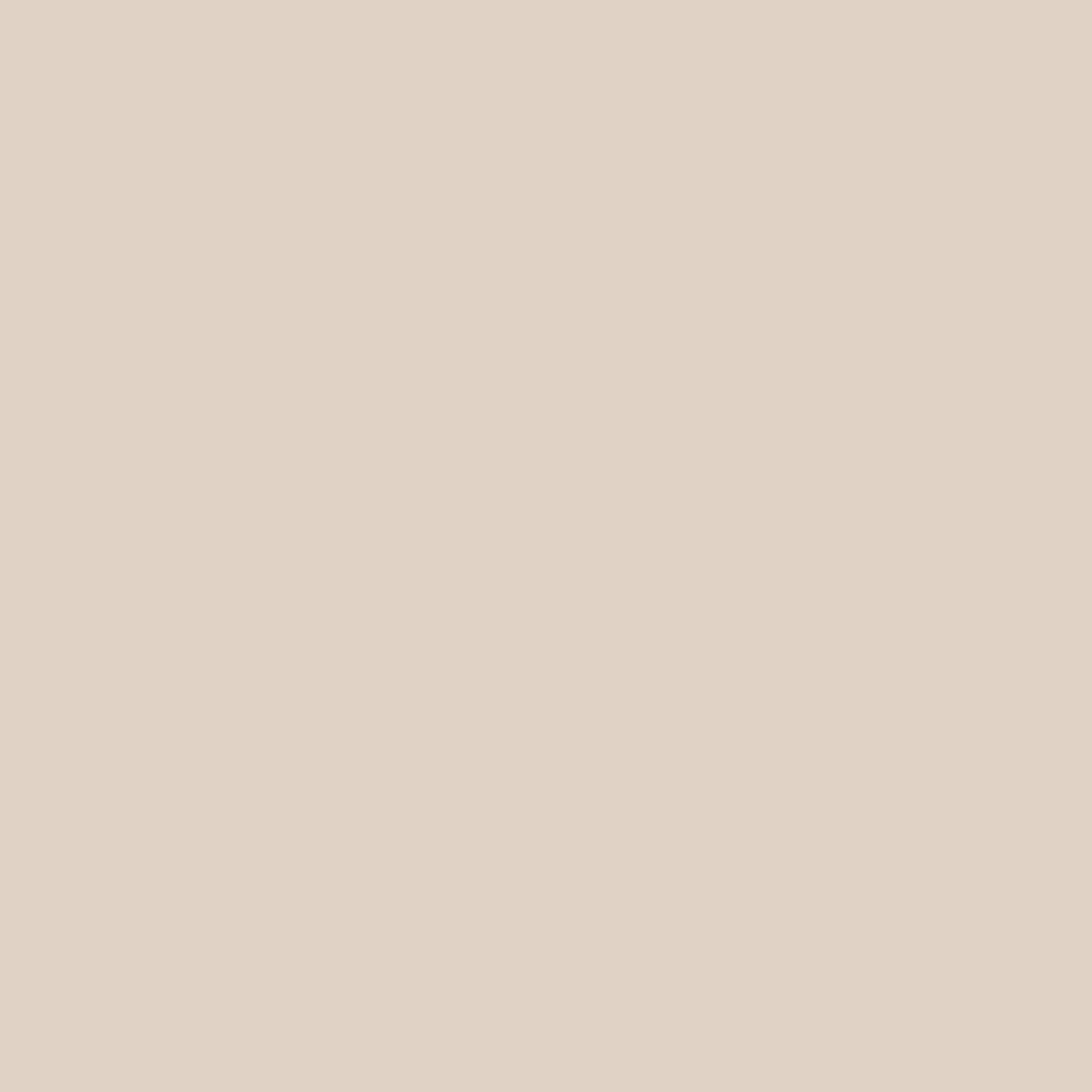 Confetti Cotton Solid - Latte