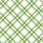 Kimberbell Basics - Diagonal Plaid Green