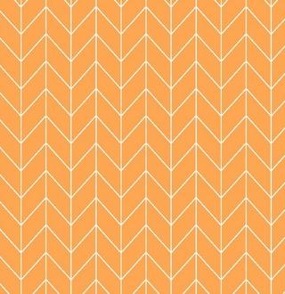 Kimberbell Basics Refreshed - Chevron - Orange