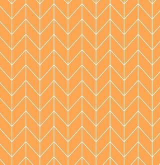 Kimberbell Basics Refreshed - Chevron - Orange