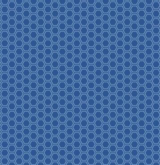 Kimberbell Basics Refreshed - Honeycomb - Blue